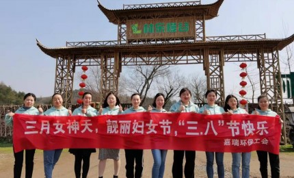 團(tuán)隊(duì)風(fēng)采